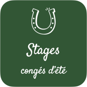 Stages d'été 2025