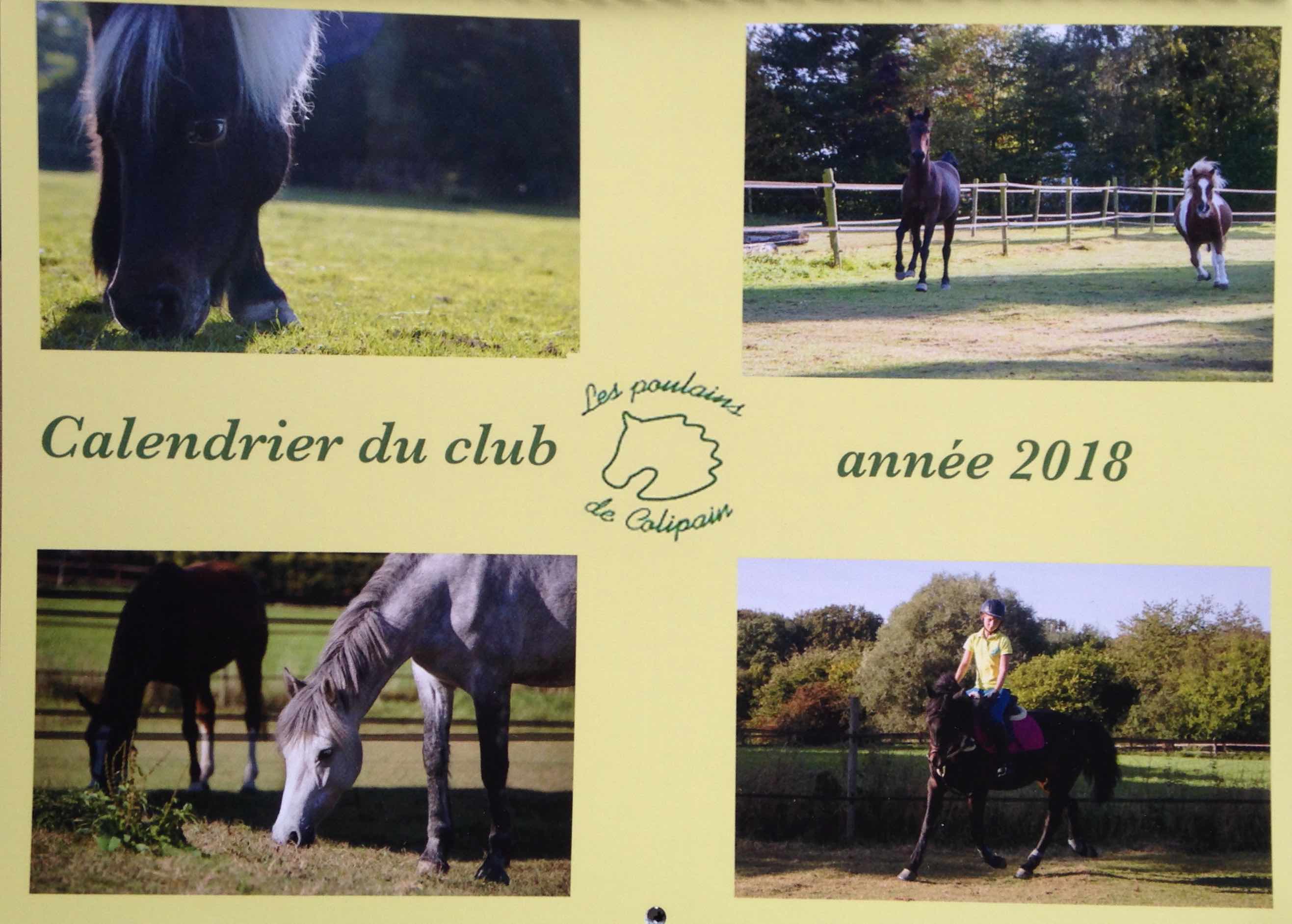 Les Stars du Poney-Club