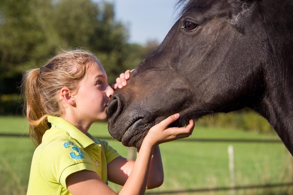 Les poneys ont besoin de vous