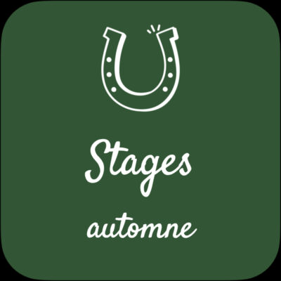 Stages d’automne 2024